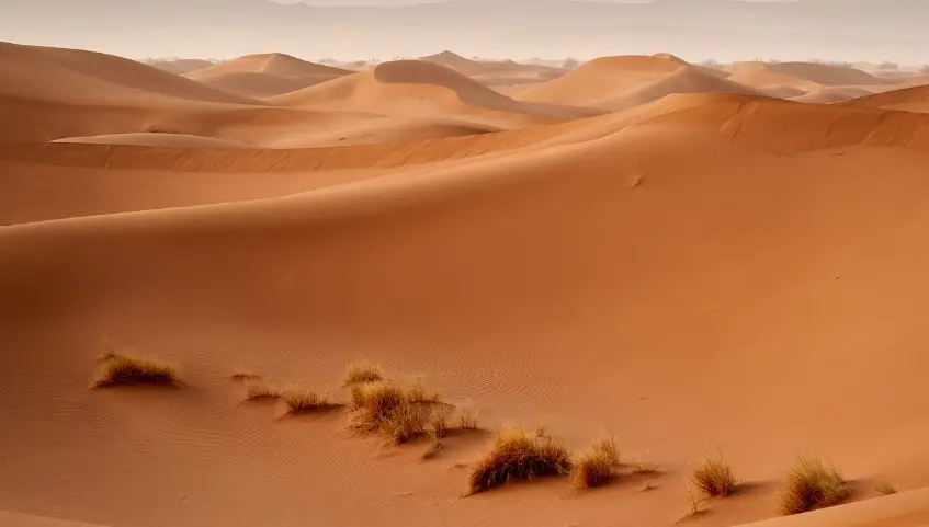 A Journey Through Morocco: From the Sahara to the Atlas Mountains