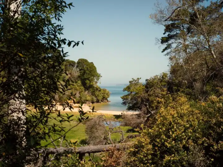 Craft and nature come together in Tomales Bay as as a new generation finds inspiration and space